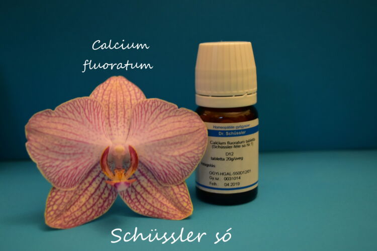 Calcium fluoratum tabletta Schüssler só Nr.1. D12 80db