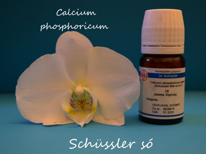 Calcium phosphoricum tabletta Schüssler só Nr.2. D6 80db
